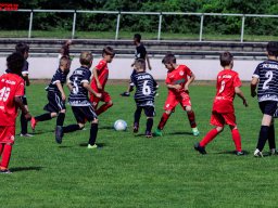 Hillen Cup 2024